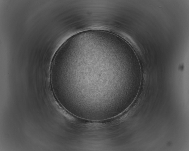 X0000091511236200708241622