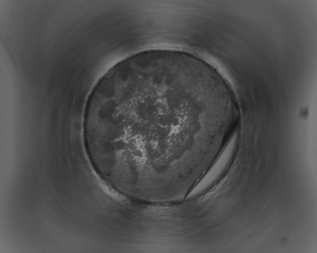 X0000091511237200708241622