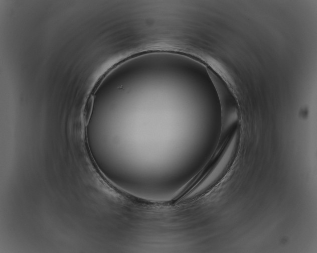 X0000091511238200708241622