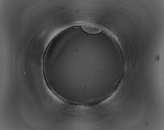 X0000091511239200708241622