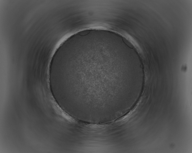 X0000091511240200708241622