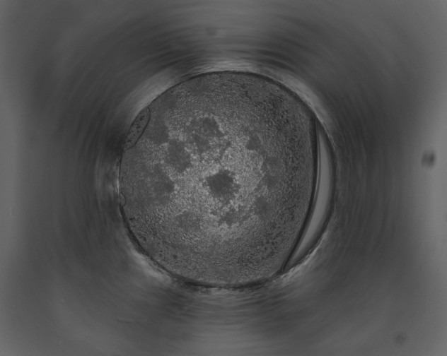 X0000091511241200708241622