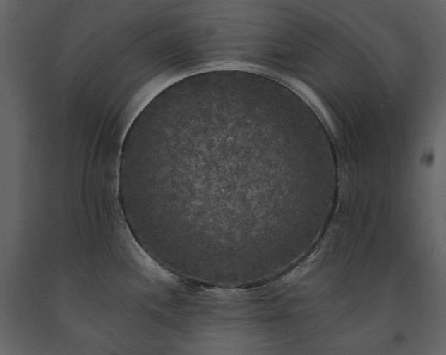 X0000091511244200708241622