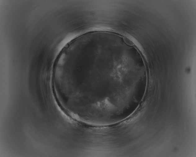 X0000091511245200708241622