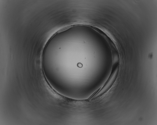 X0000091511246200708241622