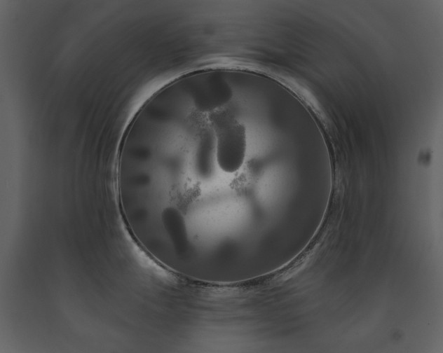 X0000091511247200708241622