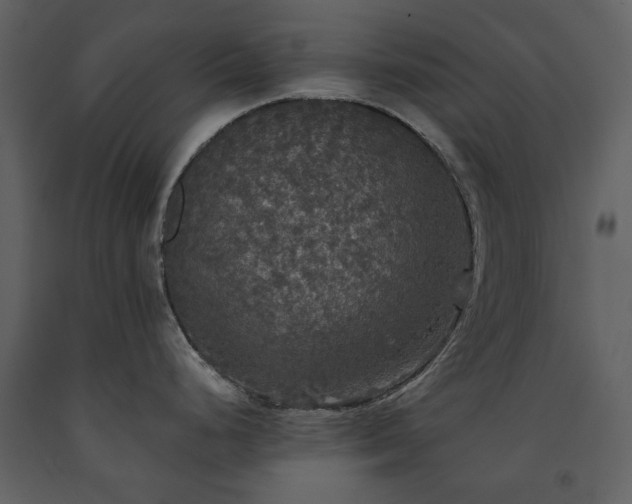 X0000091511248200708241622