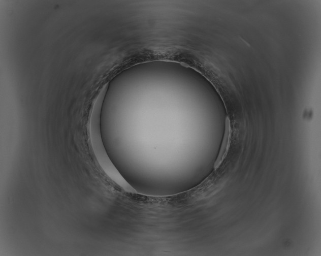 X0000091511249200708241622