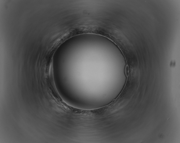 X0000091511250200708241622