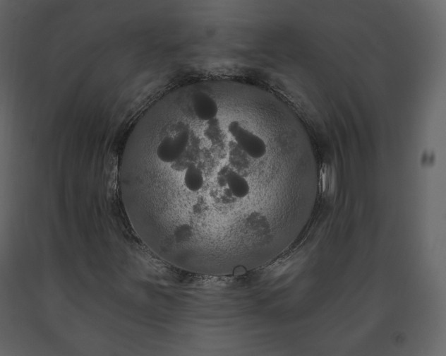 X0000091511251200708241622