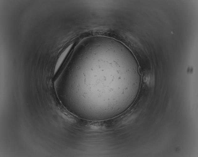 X0000091511252200708241622