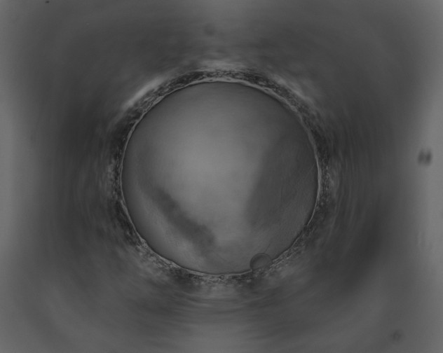 X0000091511254200708241622