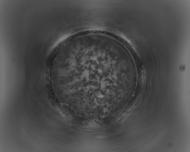 X0000091511255200708241622