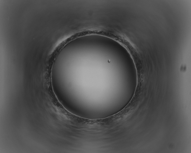 X0000091511256200708241622