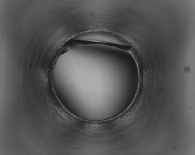 X0000091511257200708241622