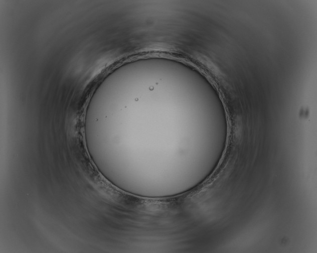 X0000091511258200708241622