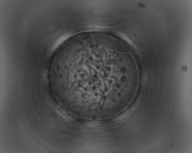 X0000091511259200708241622