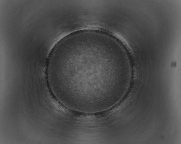 X0000091511260200708241622