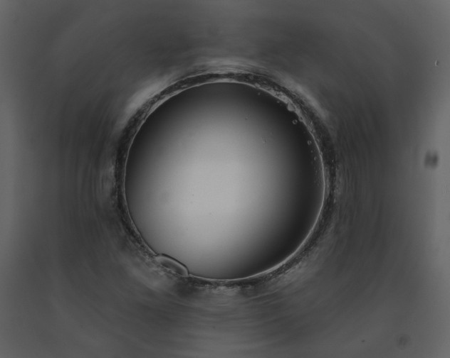 X0000091511261200708241622