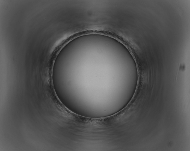 X0000091511262200708241622