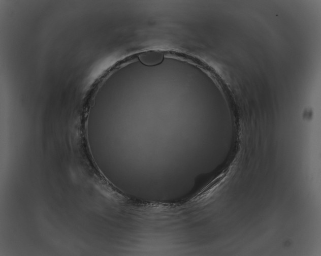 X0000091511263200708241622