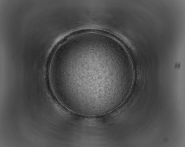 X0000091511264200708241622