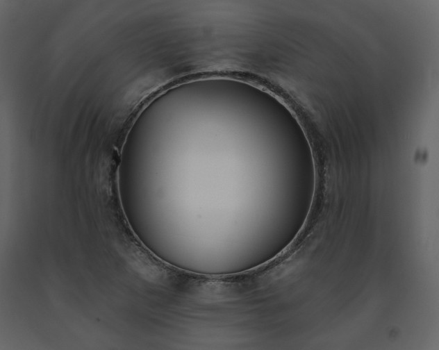 X0000091511265200708241622