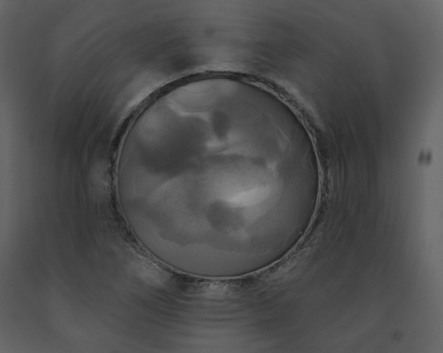 X0000091511266200708241622