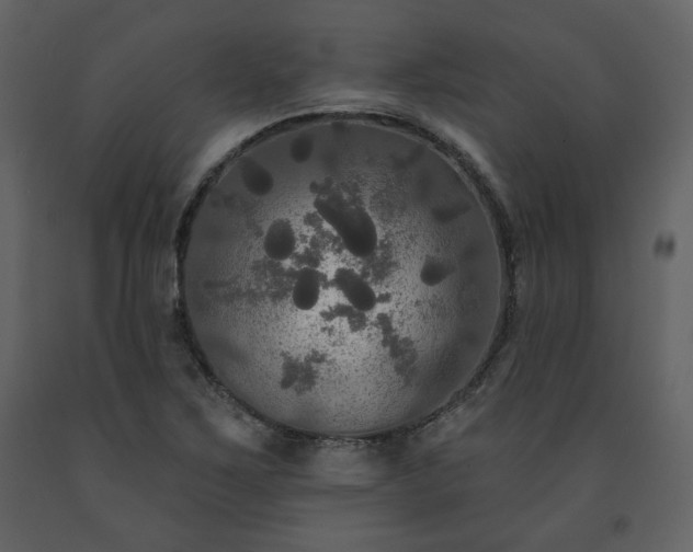 X0000091511267200708241622