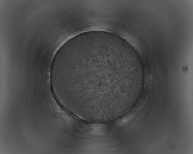 X0000091511268200708241622