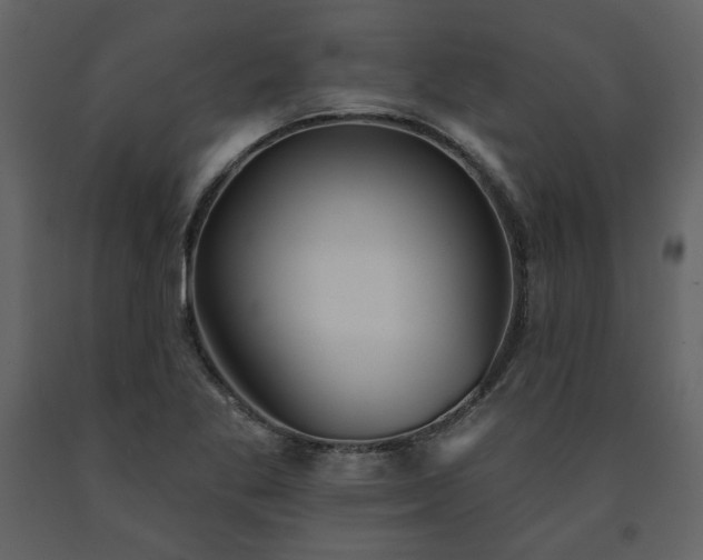 X0000091511269200708241622