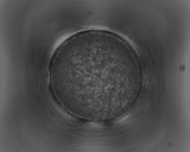 X0000091511271200708241622