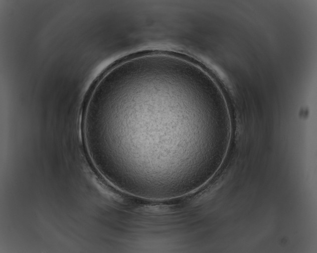 X0000091511272200708241622