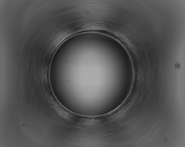 X0000091511273200708241622