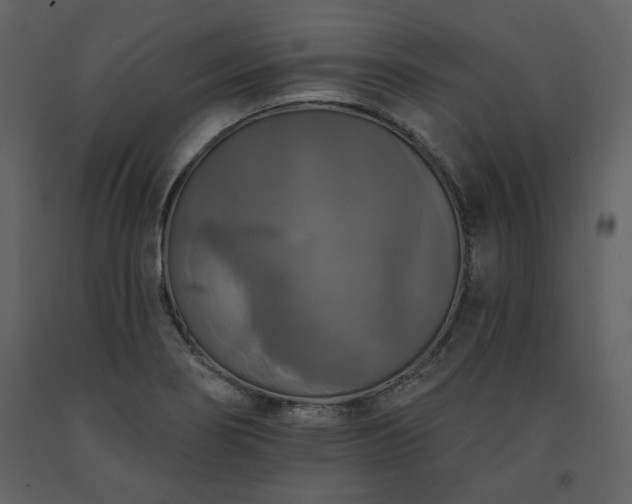 X0000091511274200708241622