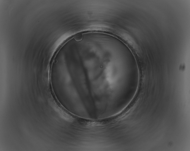 X0000091511275200708241622