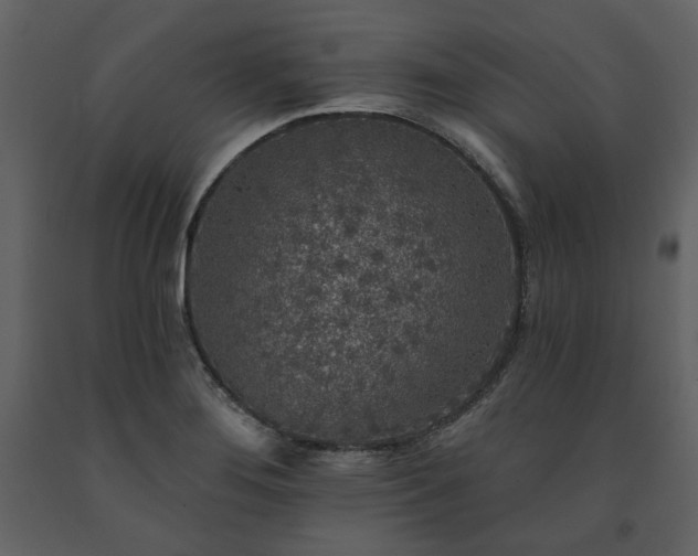 X0000091511276200708241622