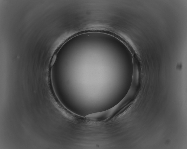 X0000091511277200708241622