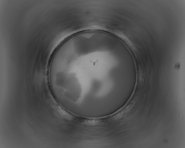 X0000091511278200708241622