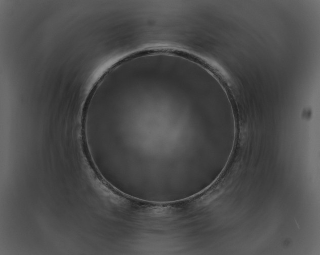 X0000091511279200708241622