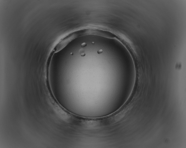 X0000091511280200708241622