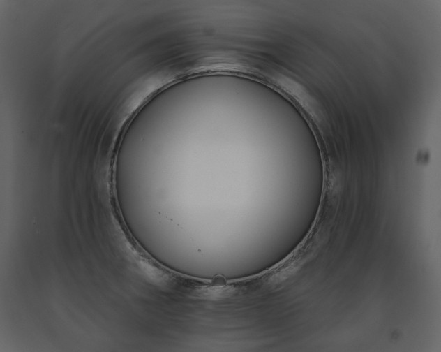 X0000091511282200708241621