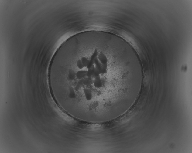 X0000091511283200708241621