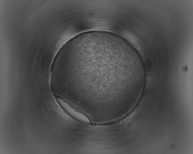 X0000091511284200708241621