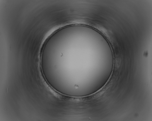 X0000091511286200708241621