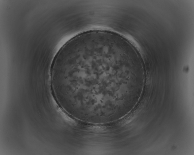 X0000091511287200708241621