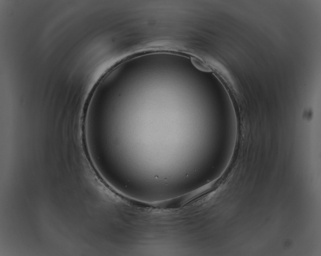 X0000091511288200708241621