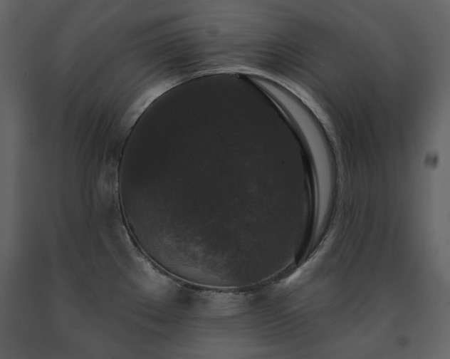 X0000091511289200708241621