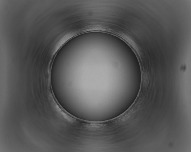 X0000091511290200708241621