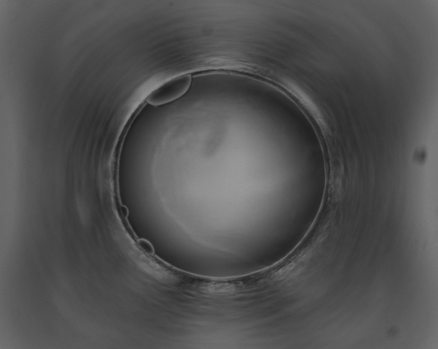 X0000091511291200708241621